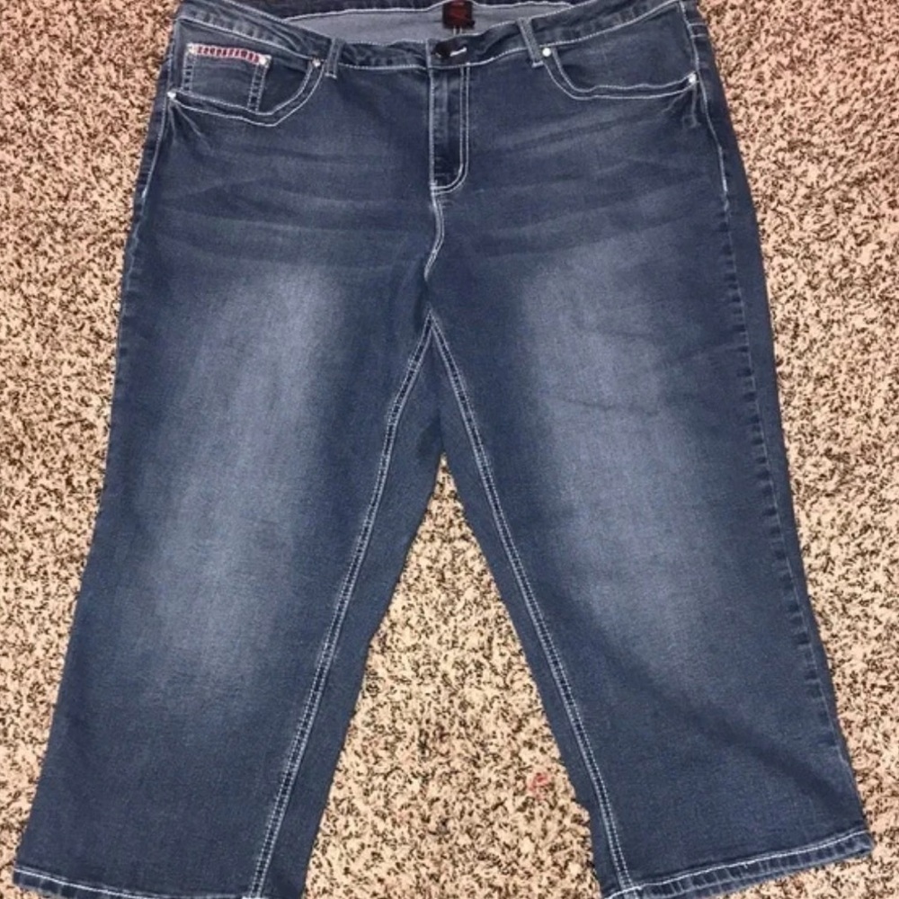 Earl Denim Embroidered Cropped Stretch Plus Size 20W Blue Jeans | EUC - Picture 2 of 6
